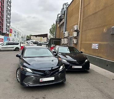 cx 9: Сдаю Toyota Camry, Посуточно, Без водителя, | Без залога — 1