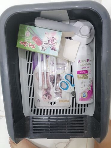 в добрые руки котята: Одам кошку в добрые руке. С ней мы отдадим латок, расчёзки и приборы