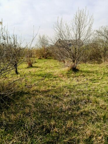 Bağ evlərinin satışı: Xaçmaz, 300 kv. m, 4 otaqlı, Qaz, İşıq — 6