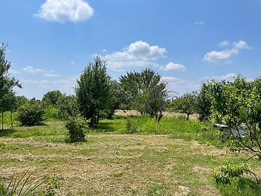 sirvan evler: 80 sot, Tikinti, Mülkiyyətçi, Kupça (Çıxarış) — 4