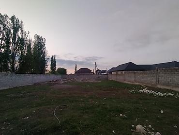 ысык куле: 5 соток, Курулуш, Кызыл китеп — 6
