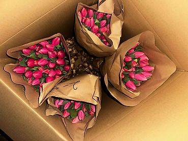 Букеты из живых цветов: Тюльпаны голландские оптом - От 30 штук и выше - 15 видов цветов — 7