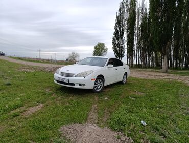 тайота raf4: Toyota Windom: 2003 г., 3 л, Автомат, Бензин, Седан