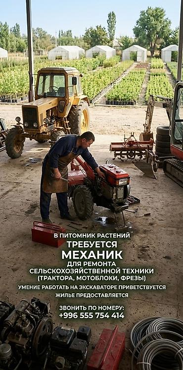 чистка дом: Требуется Механик, Оплата: Ежемесячно — 1