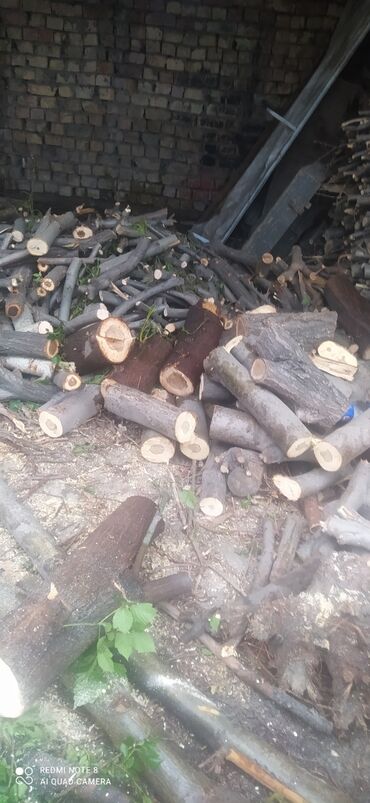 дрова с доставкой: Дрова Платная доставка