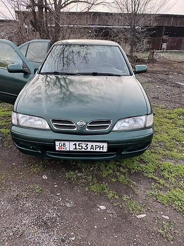 e klass: Nissan Primera: 1998 г., Седан — 3