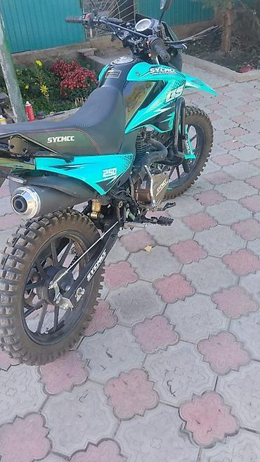 скутер м10: Эндуро мотоцикл SYCMCC GS 250
Продаю или меняю на скот или машину — 1