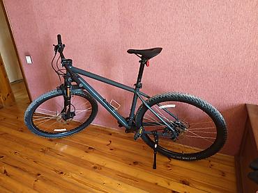 Dağ velosipedləri: Specialized Rockhopper dağ velosipedi - Çərçivə: Specialized — 17