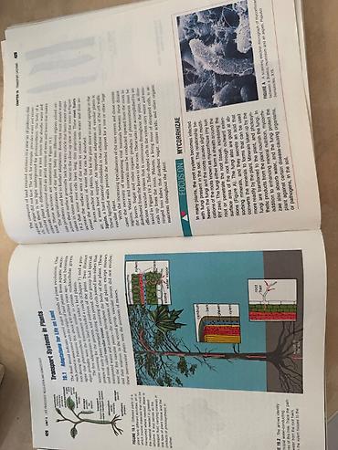 Книги и журналы: Məhsul: Biologiya üzrə illüstrasiyalı dərslik/kitab Xüsusiyyətlər: - — 8
