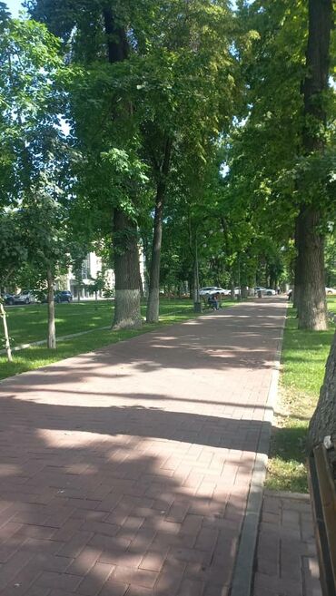 лезерная резка: Кладка койобуз,только ватсаптан чалгыла ватсап эле иштейт