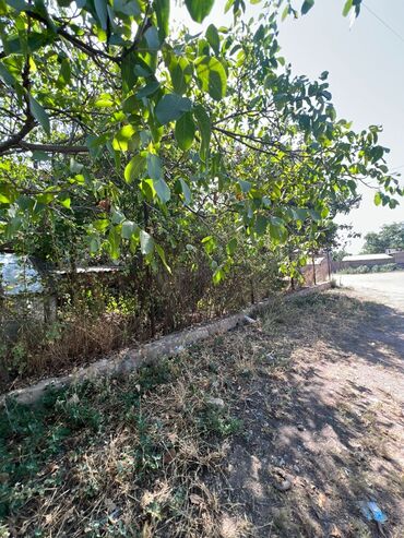 Продажа домов: Полдома, 102 м², 3 комнаты, Агентство недвижимости — 11