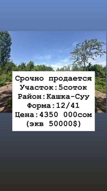 иссык куль снять жилье: 5 соток, Курулуш, Кызыл китеп, Сатып алуу-сатуу келишими