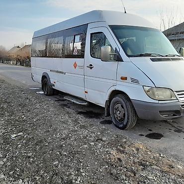 в манасе: Пункт назначения: Манас (Джалал-Абад), Количество мест: 21, Лицензия №: 325 — 3