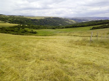 Torpaq sahələrinin satışı: 300 sot, Kənd təsərrüfatı, Mülkiyyətçi -da lalafo.az — 6 Torpaq sahələrinin satışı: 300 sot, Kənd təsərrüfatı, Mülkiyyətçi — 6