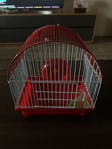 Qəfəslər: Cungarik ucun kletka