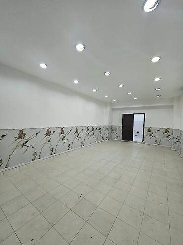 Коммерческая недвижимость: 🏢 NƏSİMİ RAYONU – AZADLIQ PROSPEKTİ 📍 Koala Park və Zooparkın — 3