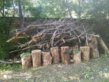 дрова цена: Дрова Самовывоз