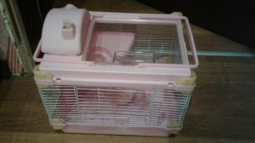 Qəfəslər: Xamyak ucun Qefes satilir qiyməti 25 azn bashqa qefeslerde var -da lalafo.az — 20 Qəfəslər: Xamyak ucun Qefes satilir qiyməti 25 azn bashqa qefeslerde var — 20