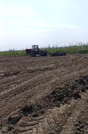 kotanlar traktor: Traktor t150, 1989 il, 150 at gücü, motor 6 l, İşlənmiş — 4