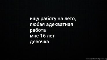 работа для студентов в бишкеке без опыта 2018: Официант. Тажрыйбасыз