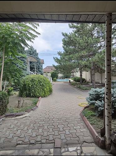 Долгосрочная аренда домов: 384 м², 5 комнат — 6