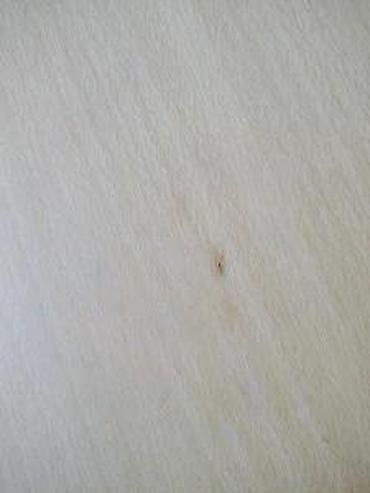 konac za goblene: KONEKTOR ZA LEMLJENJE 1X6 PIN 2.54 ŽENSKI LEMNA LETVICA | Lemna — 4