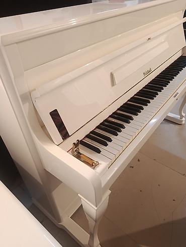 mekteb çanta: PETROF upright pianino – klassik Avropa səsi və müasir dizaynın — 9