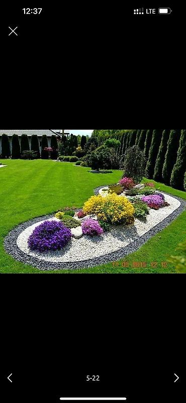 Дворники, садовники: Я садовник приходящий раз в неделю 👷🏻‍♂️🧑🏻‍💻👨🏻‍🎨 дизайнер ландшафт — 5