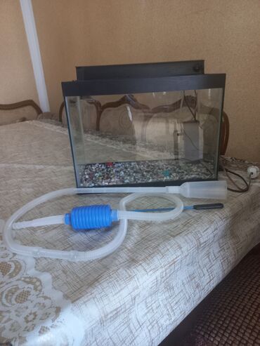 Akvariumlar: Akvarum satılır 40 selqiledir lazim üçün fso — 7