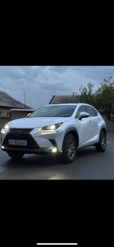заказ авто из японии: Lexus NX: 2019 г., 2 л, Типтроник, Бензин, Кроссовер