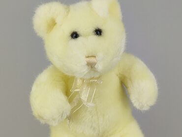 Mascot Teddy bear, condition - Perfect