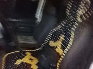 Ford: Ford Tourneo Connect: 2005 г., 1.8 л, Механика, Дизель, Фургон — 6