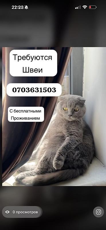 it hub: Швея, Постоянная, Универсал, Платья — 1