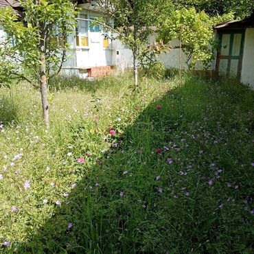 Torpaq sahələrinin satışı: Tikinti, Mülkiyyətçi, Kupça (Çıxarış), Bələdiyyə, Texniki pasport — 3