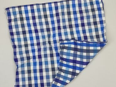 Pillowcases: PL - Pillowcase, 42 x 42, color - Blue, condition - Very good