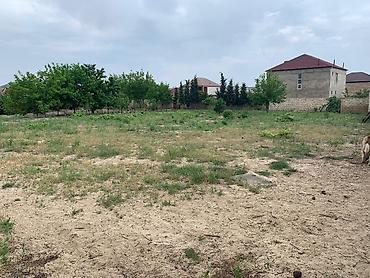 bartee: 12 sot, Tikinti, Mülkiyyətçi, Kupça (Çıxarış) — 3