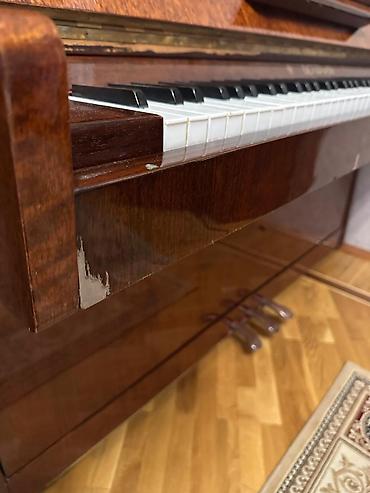 Pianolar: Pianino — 4