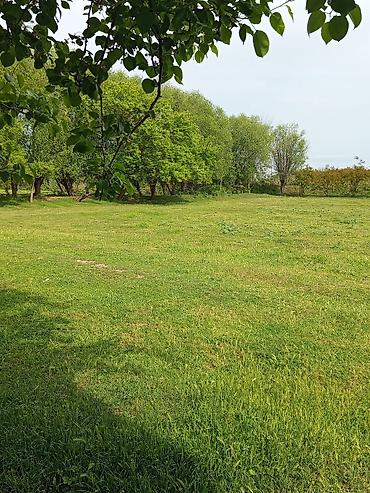 Daşınmaz əmlak: 3 otaqlı, 100 kv. m, Orta təmir — 1