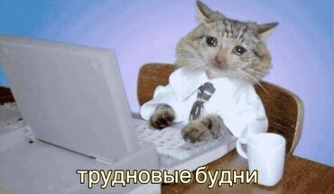 вакансии наборщик текста удаленно: ИЩУ ПОДРАБОТКУ! Здравствуйте! Ищу подработку, сейчас учусь в
