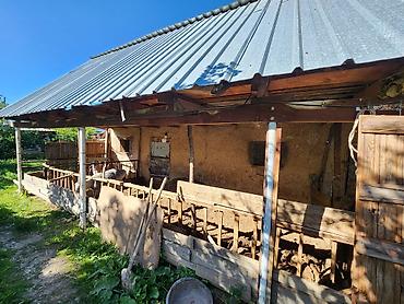 Продажа коттеджей и домов: Продаётся дом г Каракол ул.Ахунбаева 3х комнатная 6соток — 11