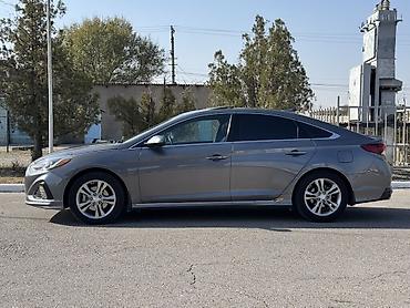 kia pegas: Hyundai Sonata: 2019 г., 2.4 л, Автомат, Бензин, Седан — 4