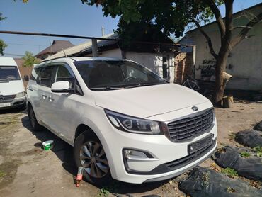 киа 2011: Kia Carnival: 2019 г., 2.2 л, Автомат, Дизель, Минивэн