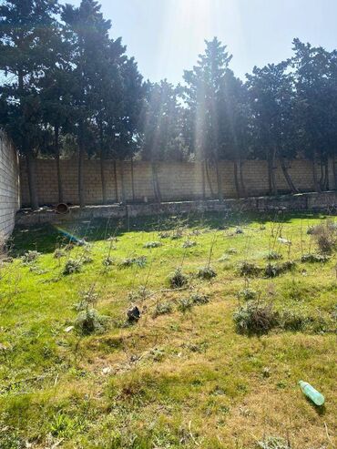 Torpaq sahələrinin satışı: 10 sot, Tikinti, Makler, Kupça (Çıxarış) — 7