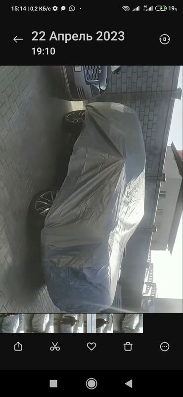 Тенты: Универсальный тент Бесплатная доставка — 11