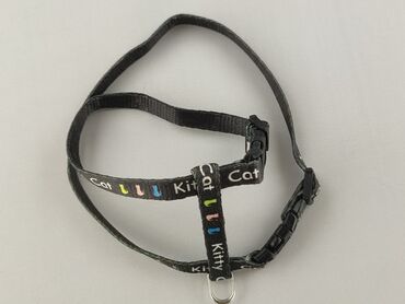 Używana obroża dla kota w idealnym stanie, z napisem "Kitty Cat"