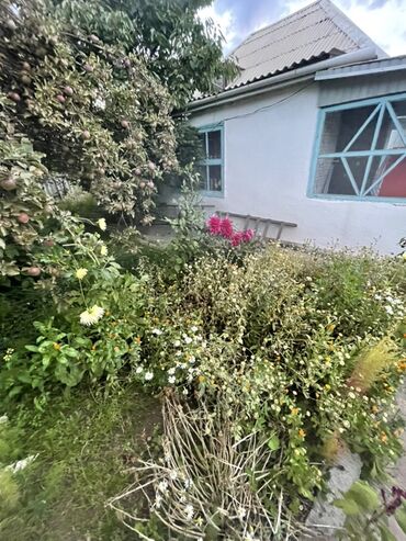 Продажа домов: Дом, 75 м², 6 комнат, Косметический ремонт — 1