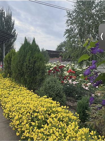 беловодски: Продается дом в с. Беловодское, участок 17 соток, с большим — 2