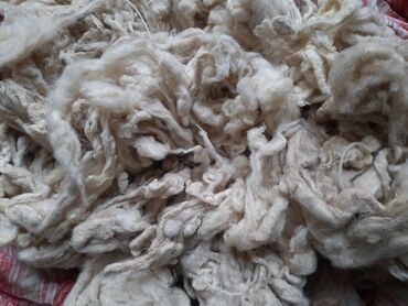 Матрасы: Шерсть белая мытая есть матрасы одеяла