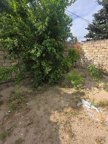 Kommersiya daşınmaz əmlakının satışı: Satılır ünvan Bilgəh məktəb yani - Böyük, işıqlı zal: Uzun masa — 26