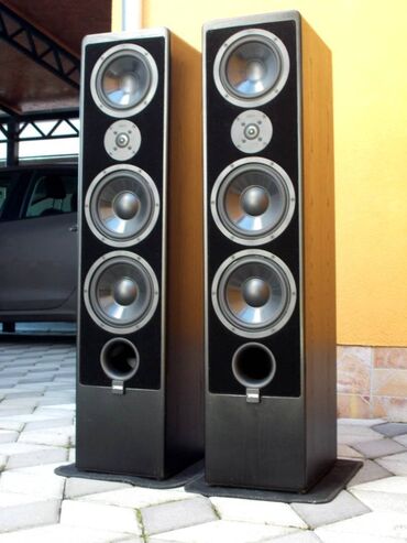 Zvučnici i stereo sistemi: Canton Ergo 92 DC Snažne i zvučno veoma kvalitetne zvučne kutije — 2